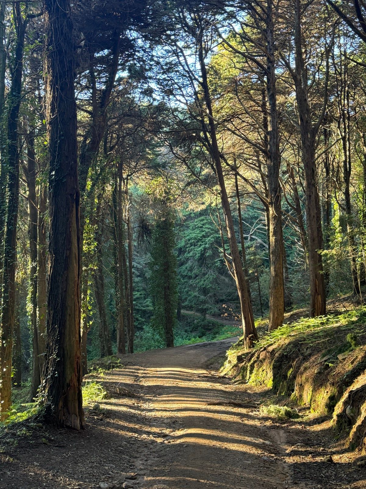 Rota Alcabideche, Serra e Mar