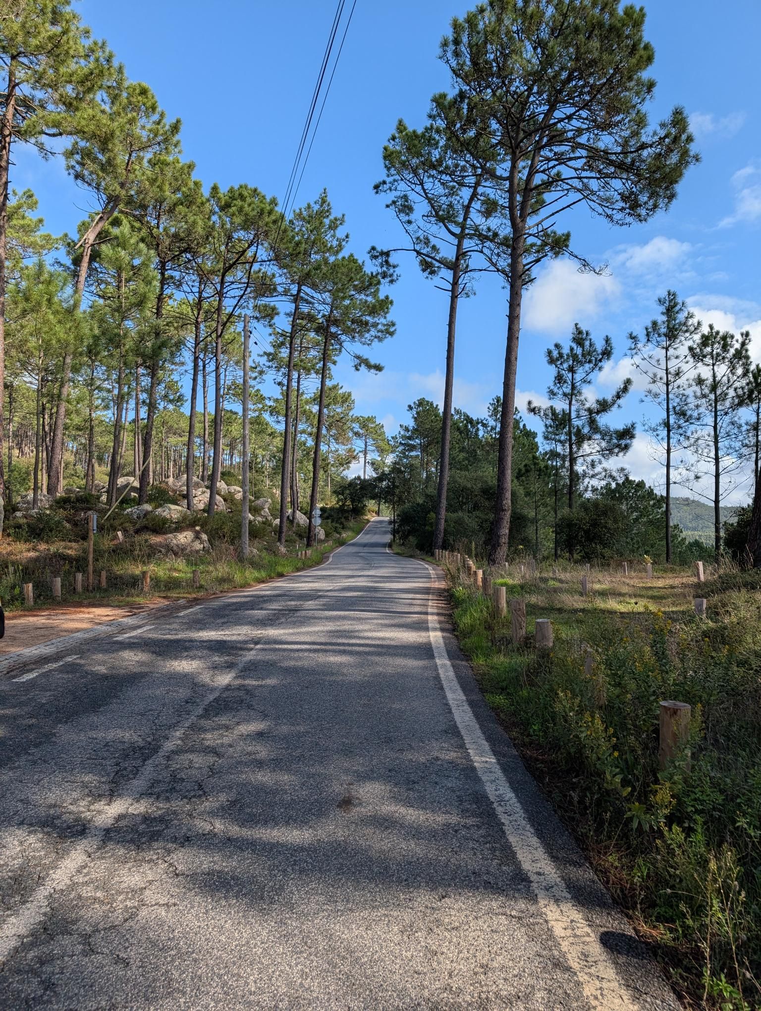 Quinta abandonada na calçada portuguesa