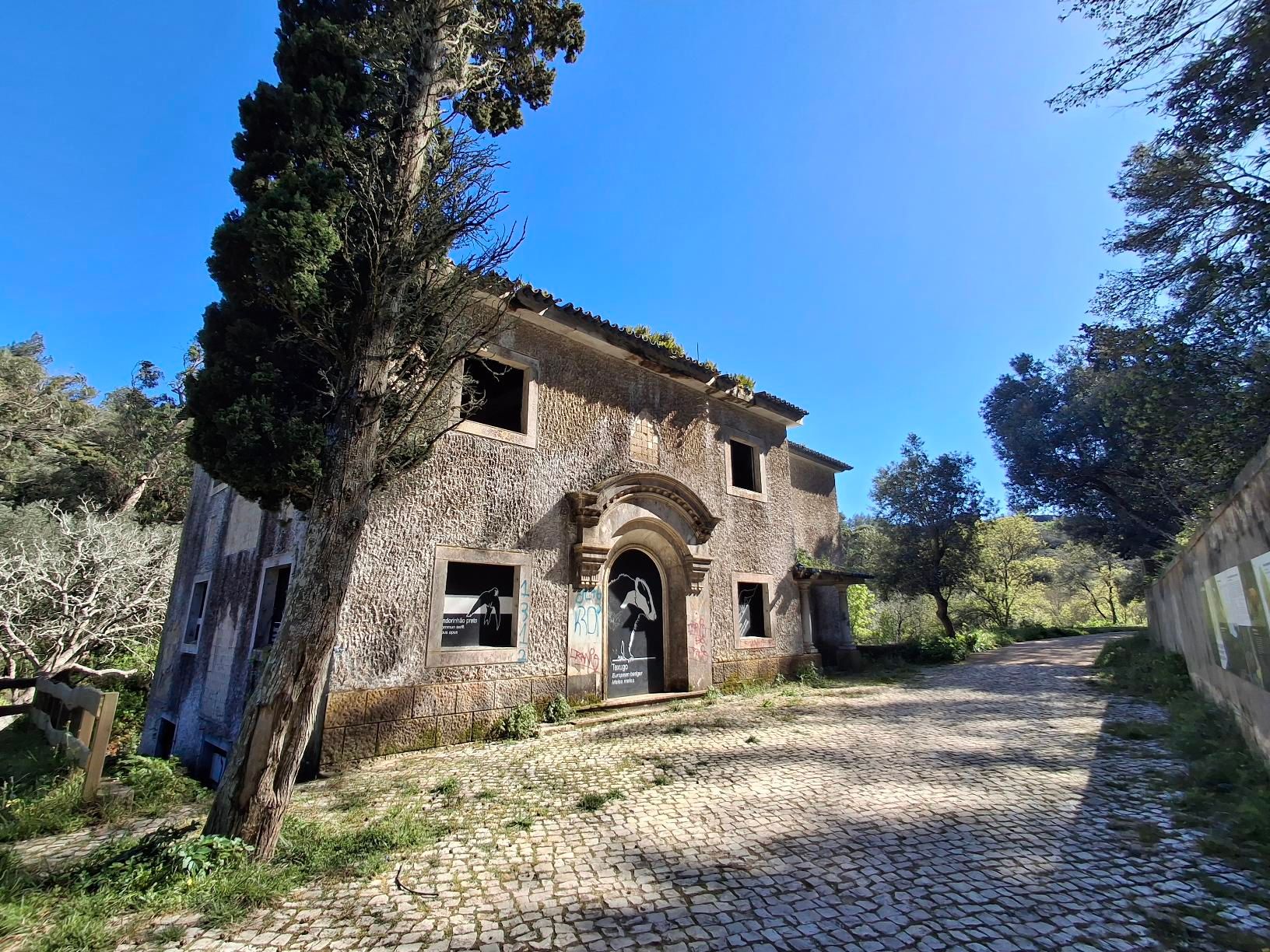 Caminho de gravel com flores amarelas