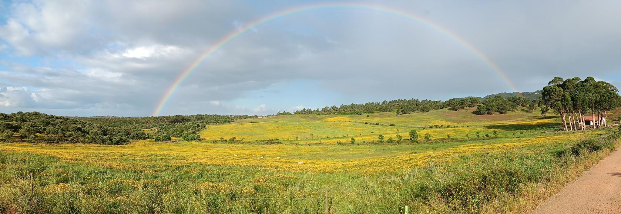 Arco-íris completo sobre os campos de Atrozela